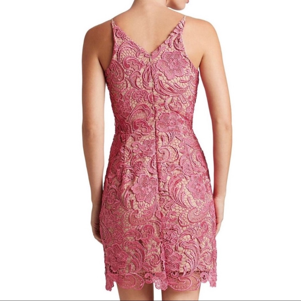 Pink Lace Dress the Population Cocktail Dress - Picture 2 of 5